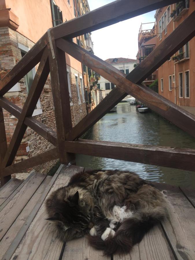 Tintoretto 4, 3 Grandi Camere Da Letto, 2 Bagni Veneza Exterior foto
